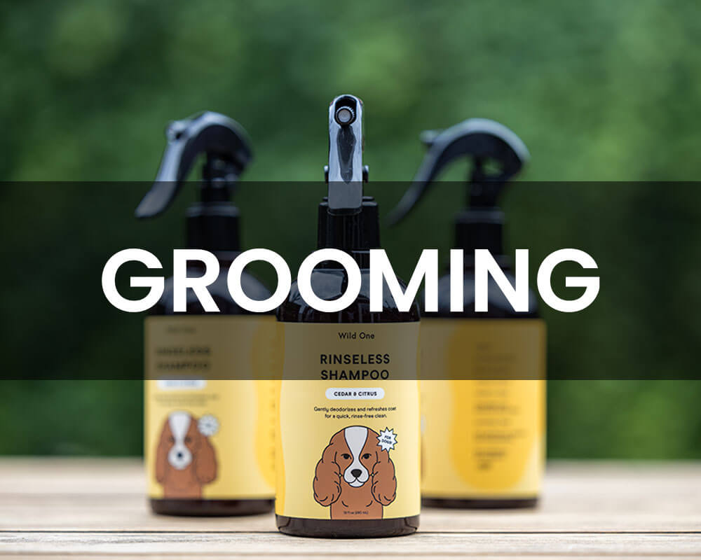 AVA-bowls-grooming-text