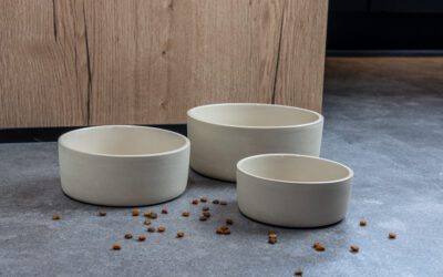 What should you look out for when choosing a food bowl for your dog?